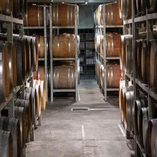 Barrels of wine in the cellar at Wither Hills
