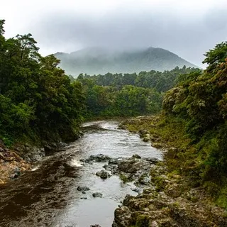 A misty river surrounded by forest on the road between Blenheim and Marlborough
